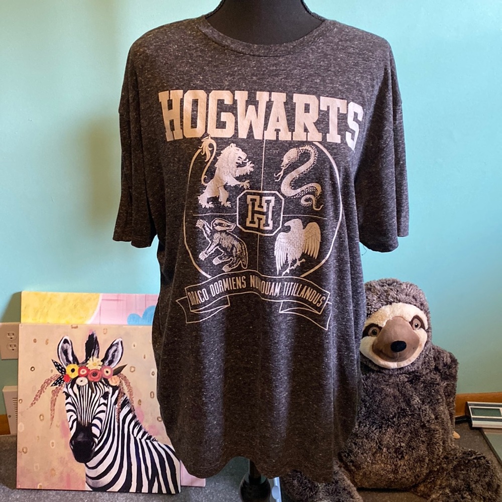 Harry Potter Men’s XL Graphic Tee EUC